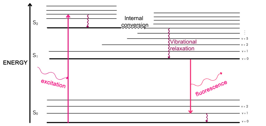 How does Fluorescence work