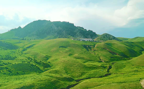 Nalati Grassland