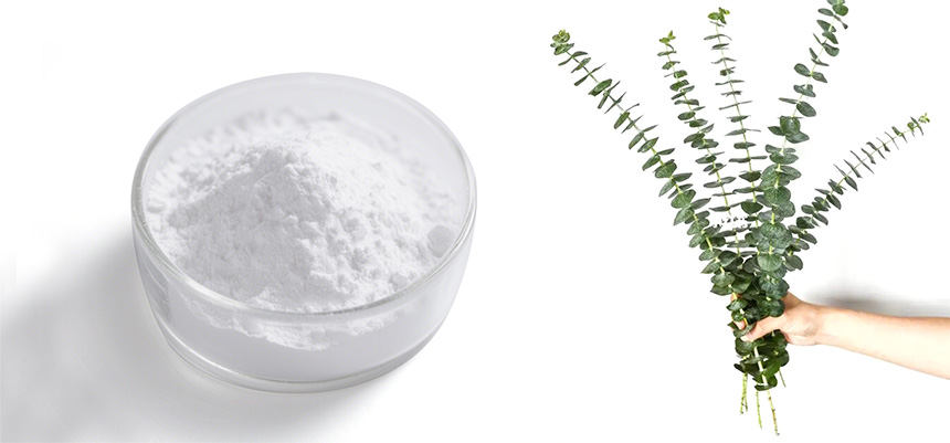 Eucalyptus scented fragrance additives