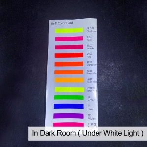 Neon Fluorescent Pigment