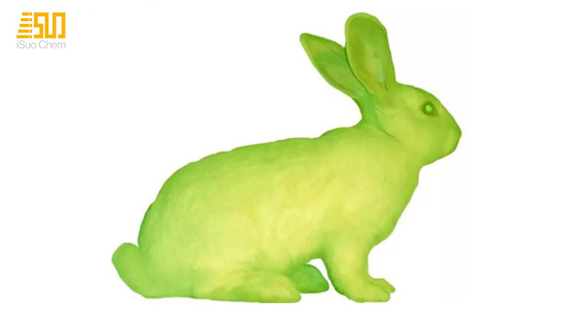 Green fluorescent rabbit